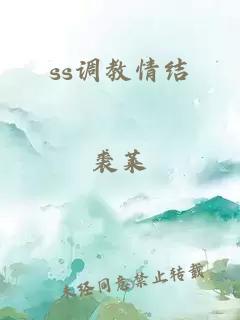 ss调教情结